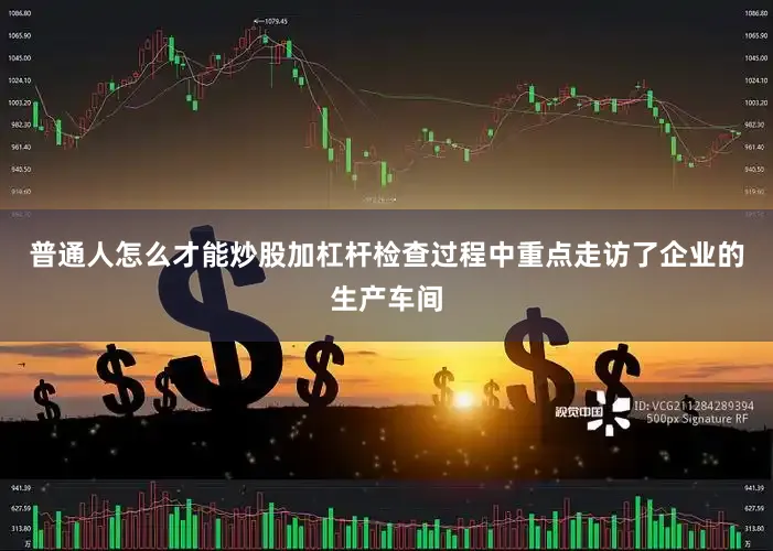 普通人怎么才能炒股加杠杆检查过程中重点走访了企业的生产车间