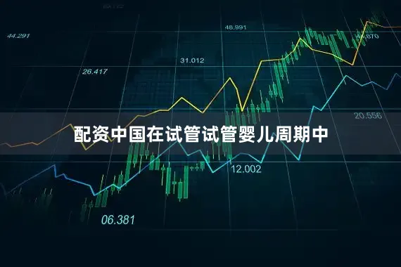 配资中国在试管试管婴儿周期中