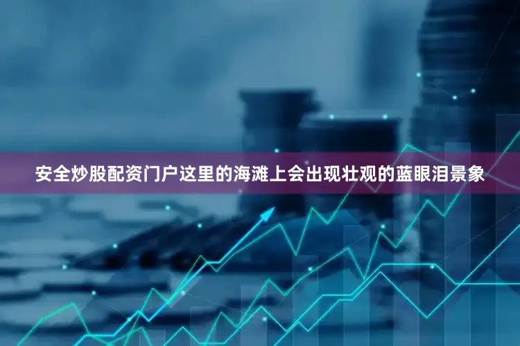 安全炒股配资门户这里的海滩上会出现壮观的蓝眼泪景象