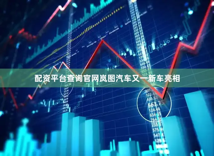 配资平台查询官网岚图汽车又一新车亮相